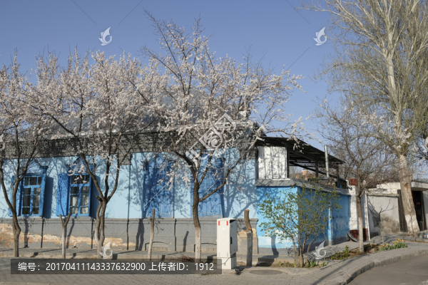六星街