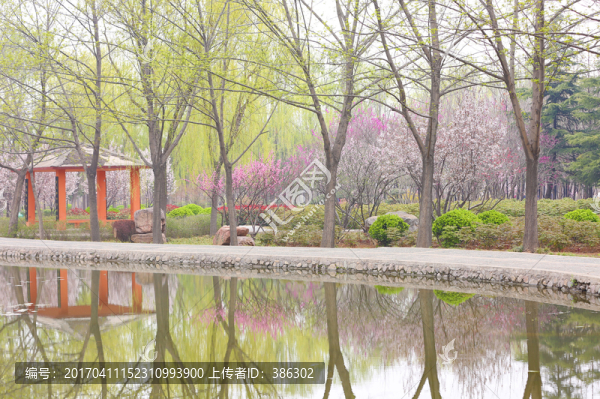 春天的景色