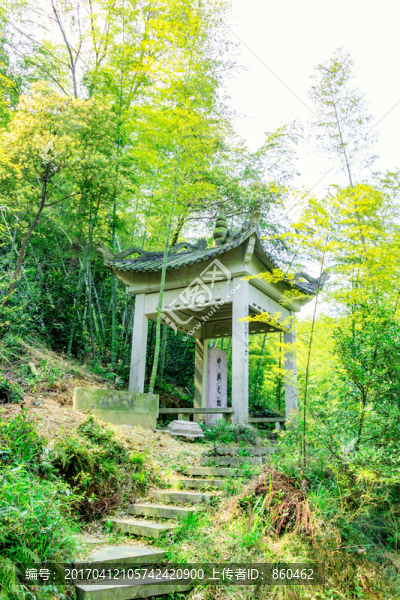 竹林亭子