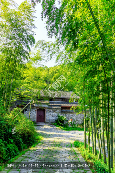陽光竹林寺廟