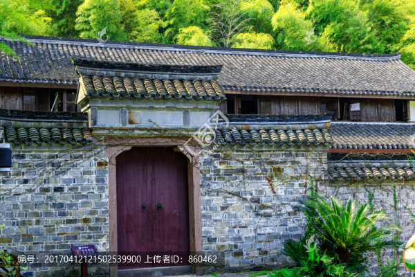 竹林房屋,藍(lán)天,圍墻內(nèi)竹林