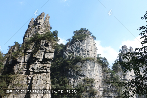 自然風景