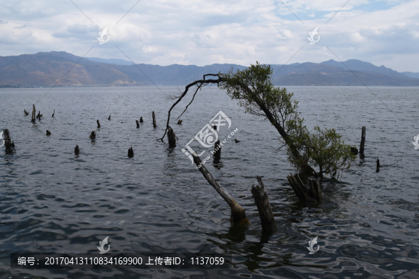 大理洱海,海舌生態(tài)園