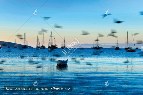 藍色的夢