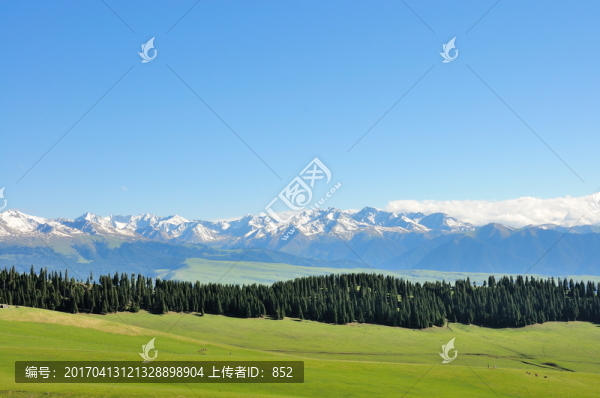 天山牧場(chǎng)