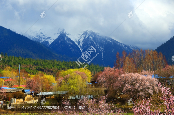 林芝春色