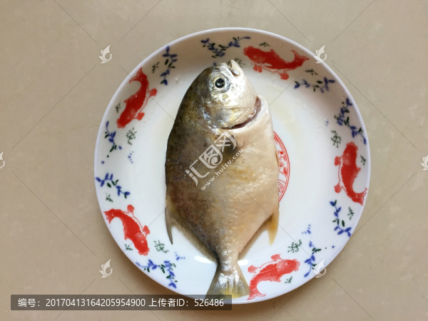 白鯧魚