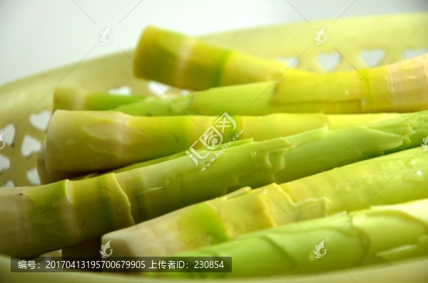 新鮮春筍