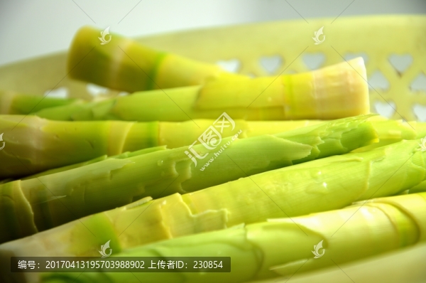 新鮮春筍