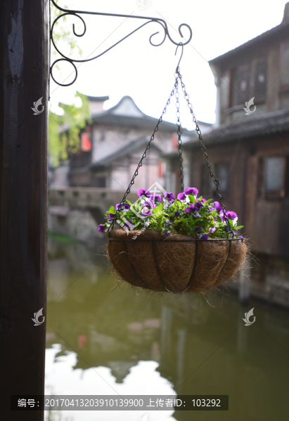 懸掛式盆栽花卉
