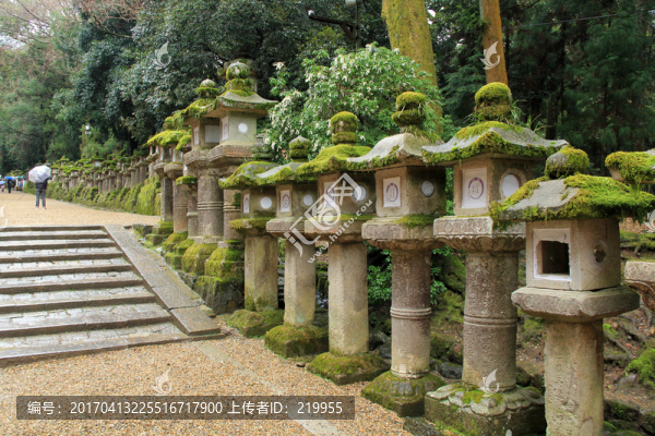 奈良,春日大社
