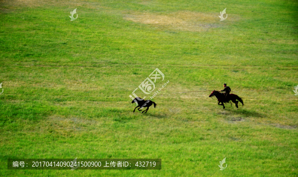 草原蒙古族套馬