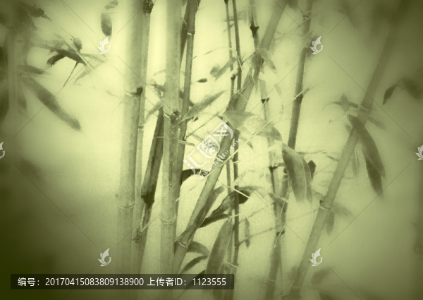 竹子影,斑駁
