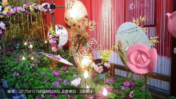 牡丹花