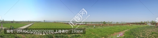 公園春色