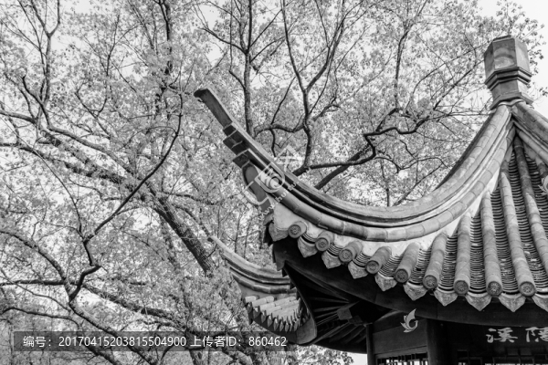 涼亭,亭子