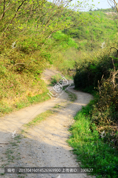 山區(qū)小路