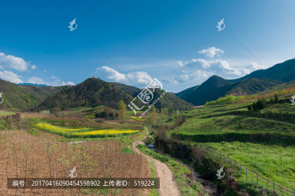 秦嶺山