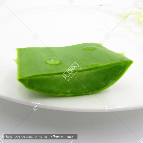 蘆薈