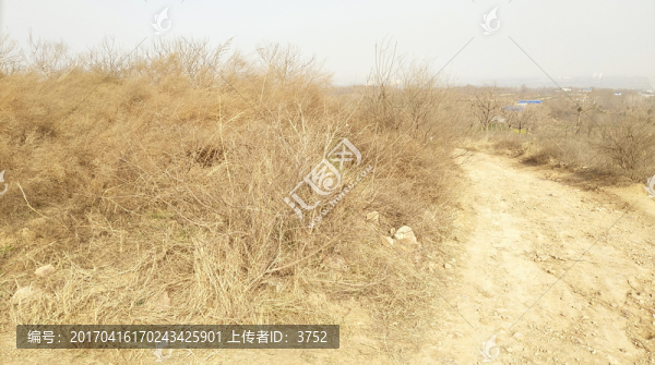 田園小路