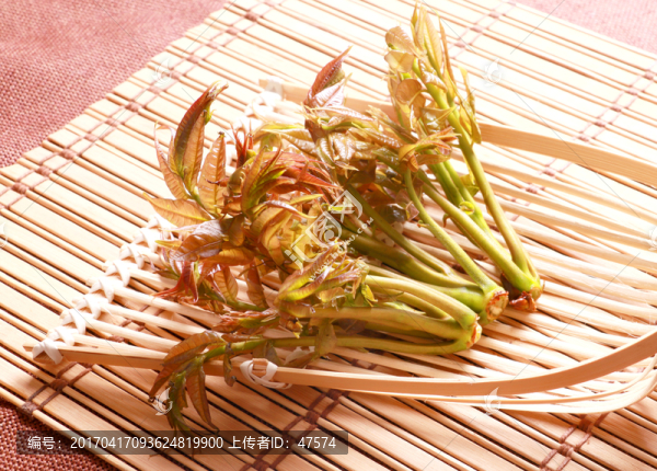 香椿芽
