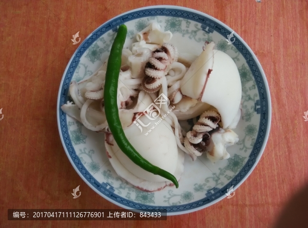 墨斗魚