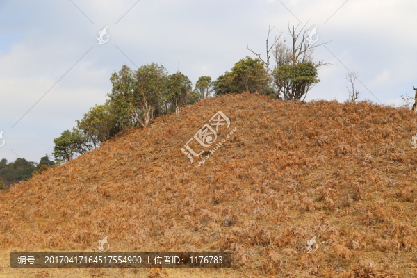 大山