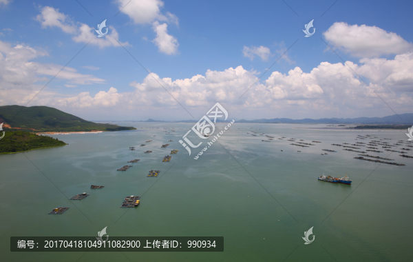 豐頭島,陽西,陽江港