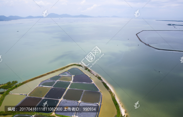 豐頭島,海島,島嶼