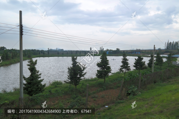 三江漁業(yè)隊(duì)魚塘美景
