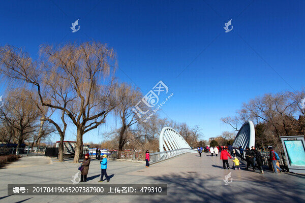 公園,建筑,園藝