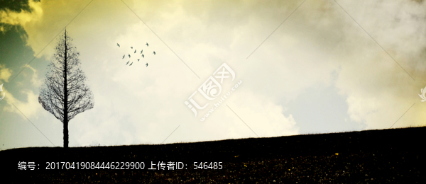 樹(shù),黃昏,風(fēng)景裝飾
