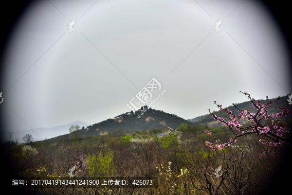 桃花大山
