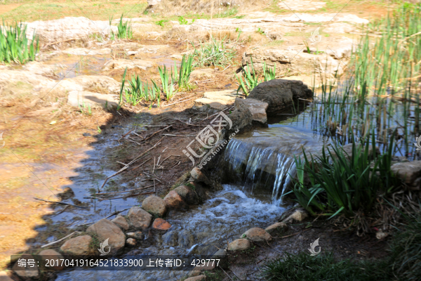 溪流,,公園水景
