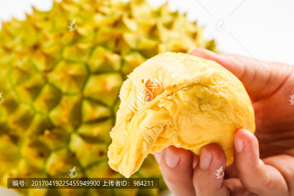 榴蓮,榴蓮肉,切開(kāi)的榴蓮