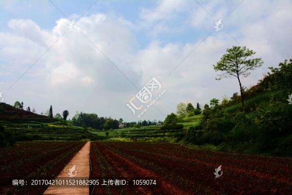 紅土地