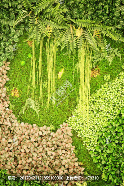 綠色植物墻