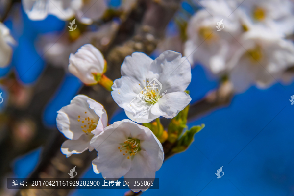 玉淵潭