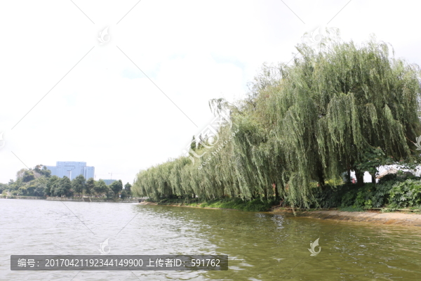 湖水