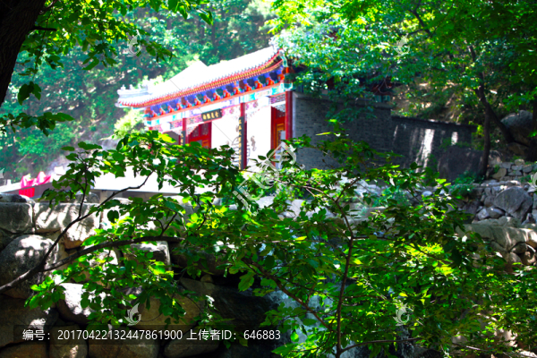 盤(pán)山,風(fēng)光