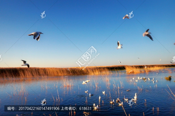 居延海日出