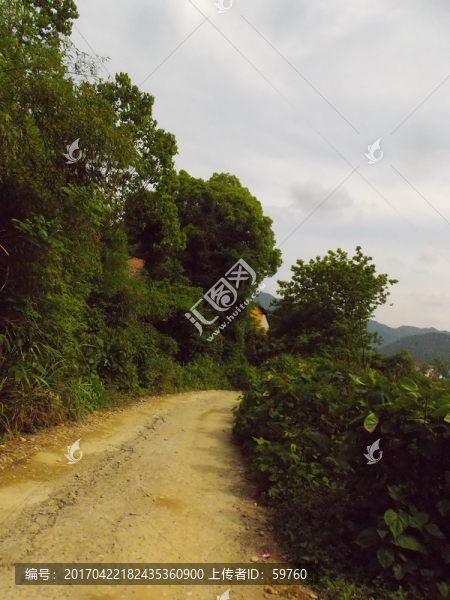 鄉(xiāng)村道路