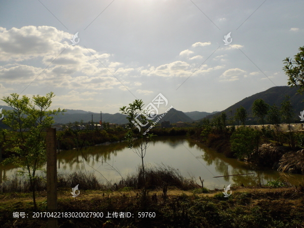 鄉(xiāng)村池塘