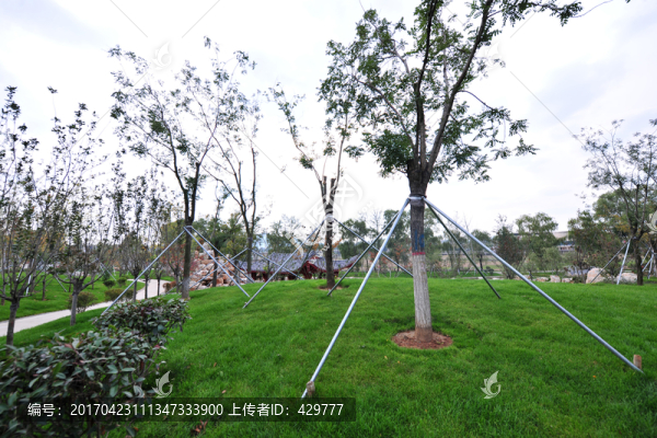 公園草坪,園林綠化