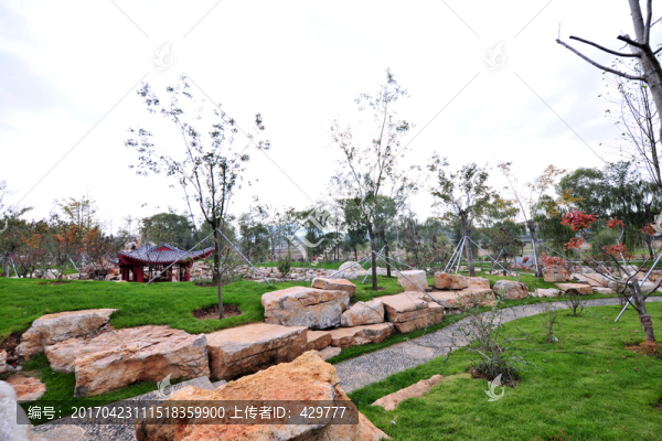 公園風(fēng)景