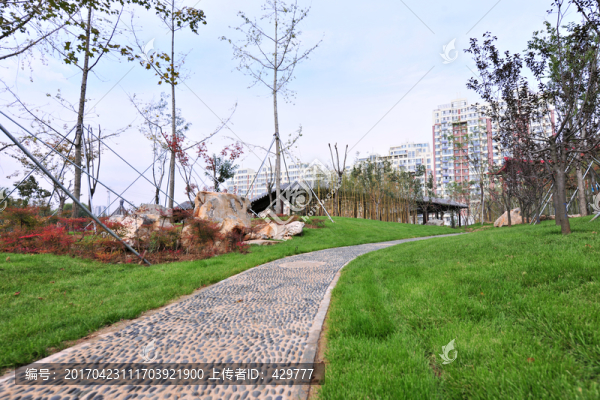 公園綠化,園林風(fēng)景