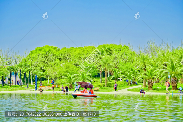 游船,公園游船,親子游,垂柳
