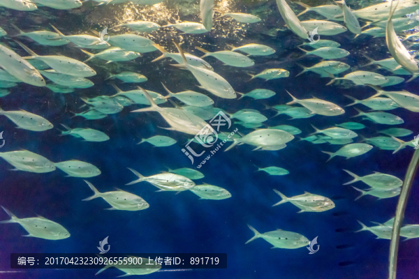 海底世界