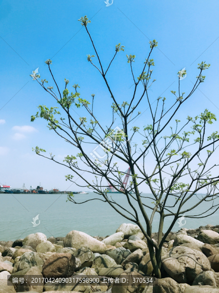 吳淞炮臺灣濕地公園,炮臺灣濕地