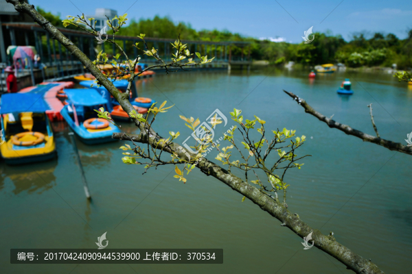 吳淞炮臺灣濕地公園,炮臺灣濕地